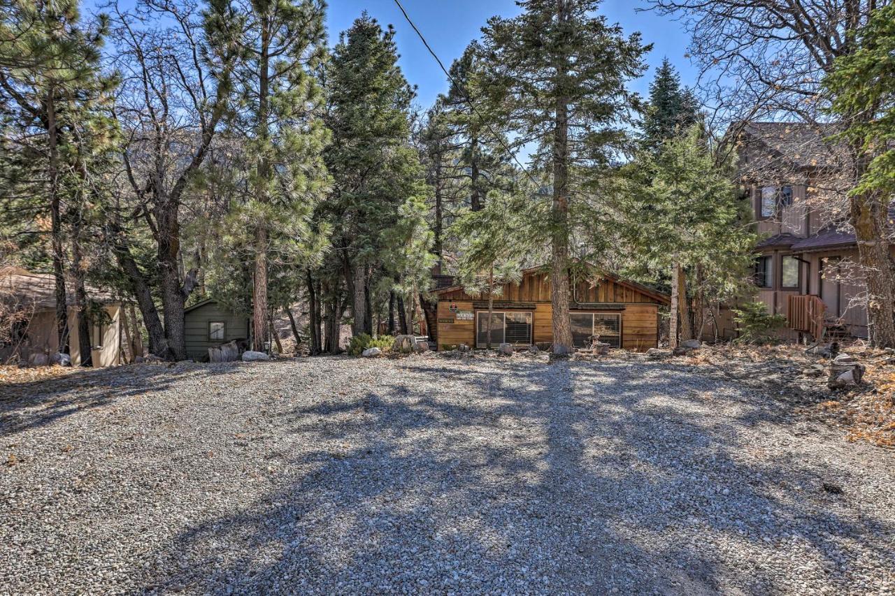 فيلا بيغ بير لاكي، سان بيرناردينو، كاليفورنيافي Chocolate Moose Cabin Short Walk To Slopes المظهر الخارجي الصورة