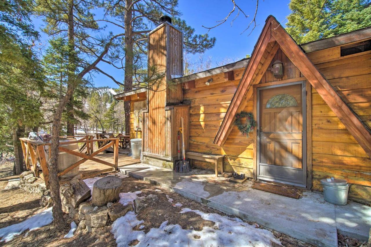 فيلا بيغ بير لاكي، سان بيرناردينو، كاليفورنيافي Chocolate Moose Cabin Short Walk To Slopes المظهر الخارجي الصورة