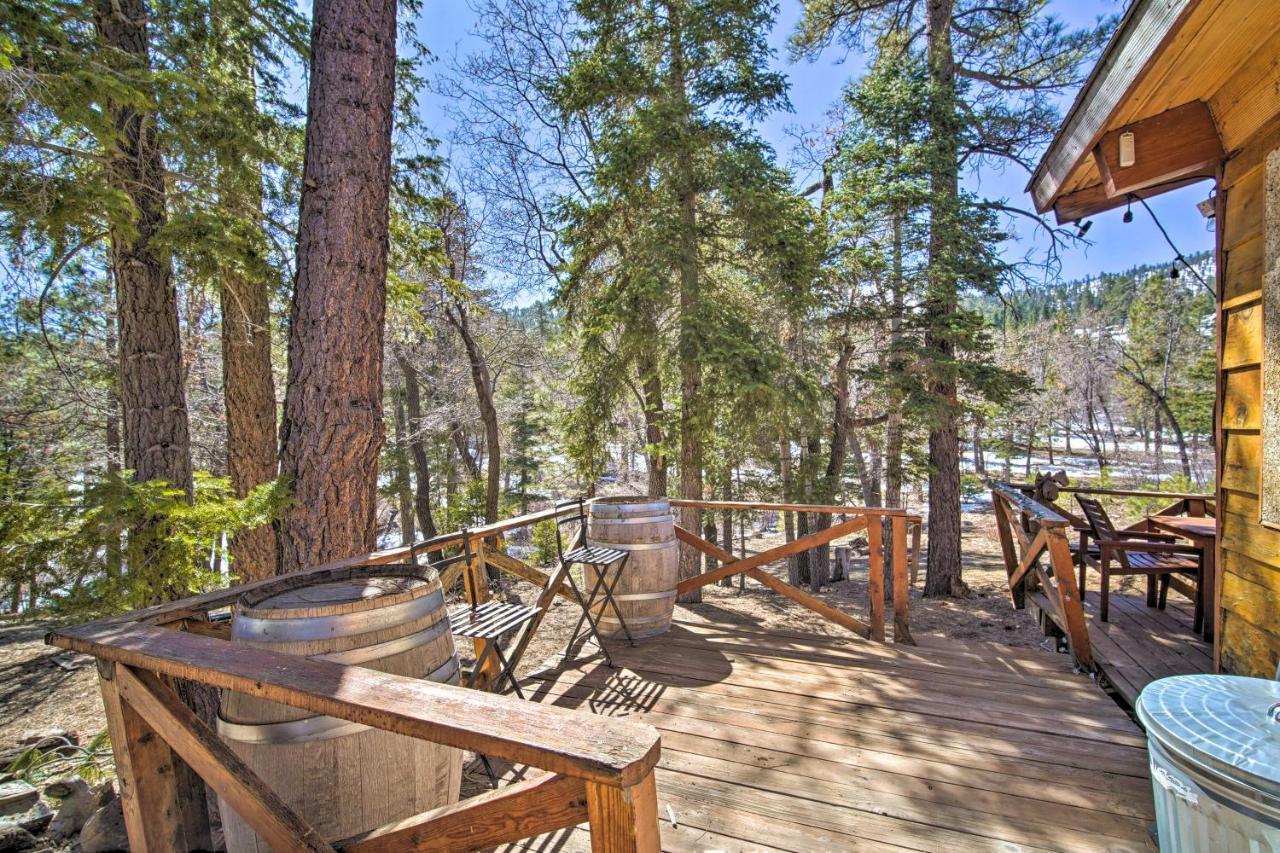 فيلا بيغ بير لاكي، سان بيرناردينو، كاليفورنيافي Chocolate Moose Cabin Short Walk To Slopes المظهر الخارجي الصورة